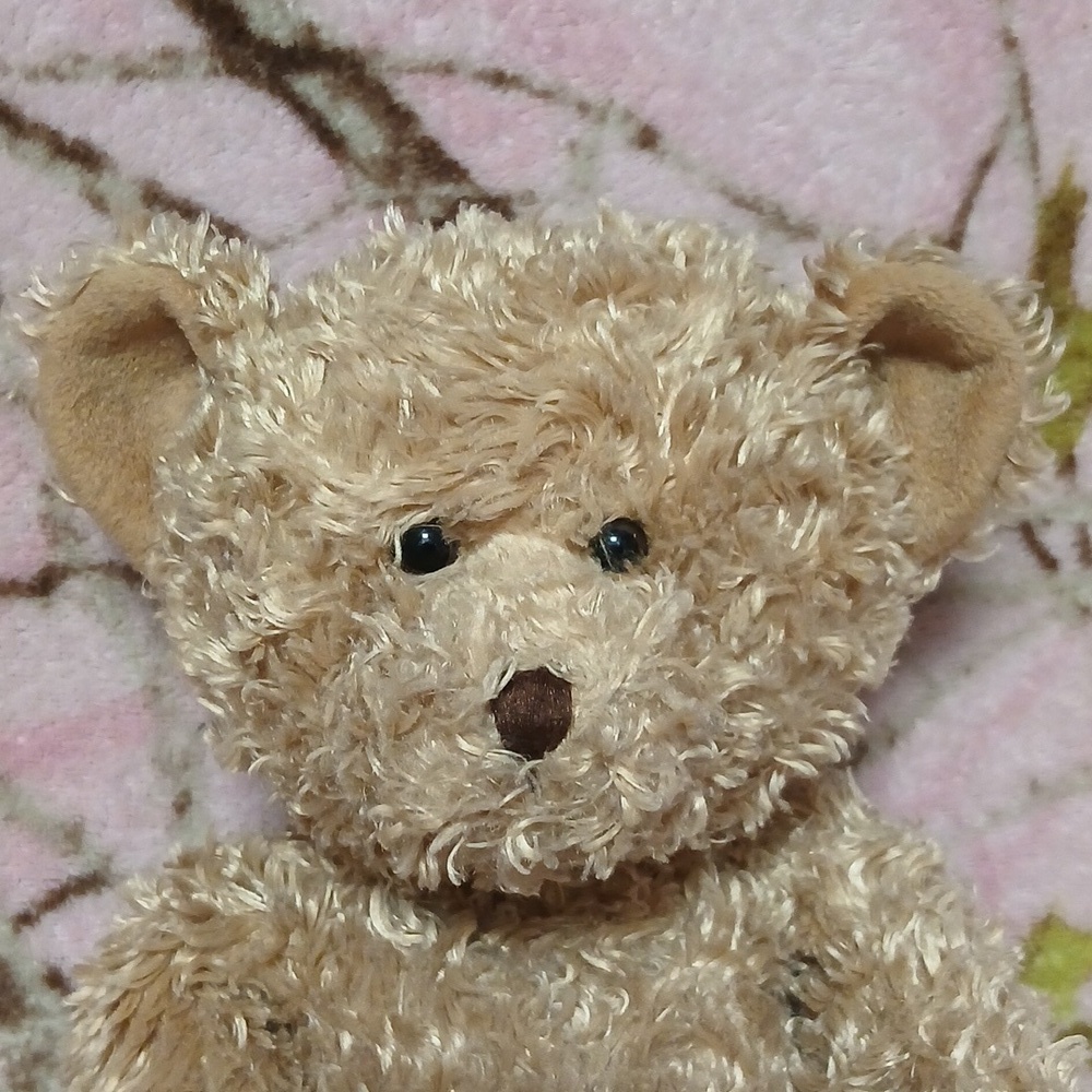 Vintage RUSS Buddy Collectors Series Bear, 13" - Picture 2 of 4